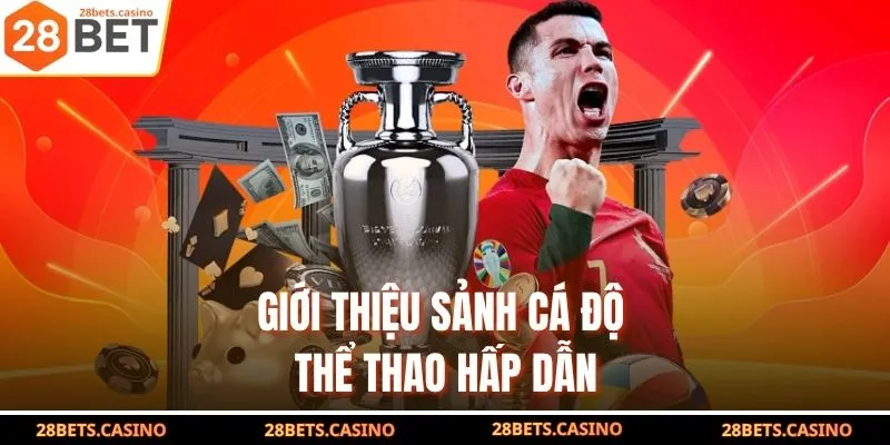 Giới thiệu sảnh cá độ thể thao hấp dẫn