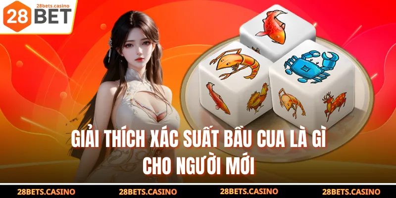 Giải thích xác suất bầu cua là gì cho người mới